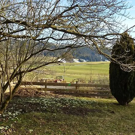 Lägenhet Ferienwohnung Bergblick *